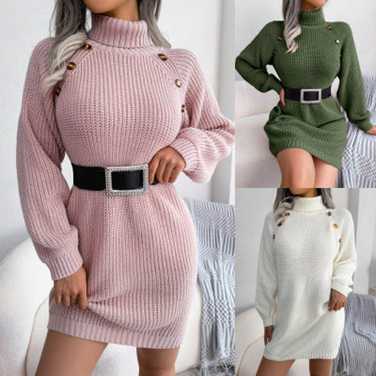 Winter Turtleneck Long Sleeve Sweater Dress  